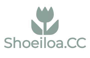 shoeiloacc